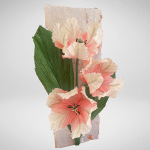 Tulp