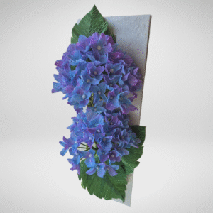 Hortensia
