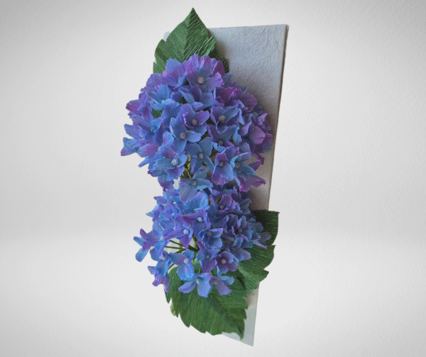 Hortensia