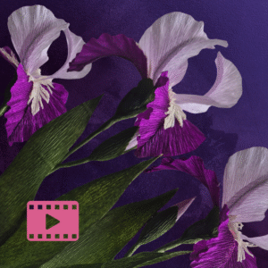 Krepp-paberist Iiris loomise kursus