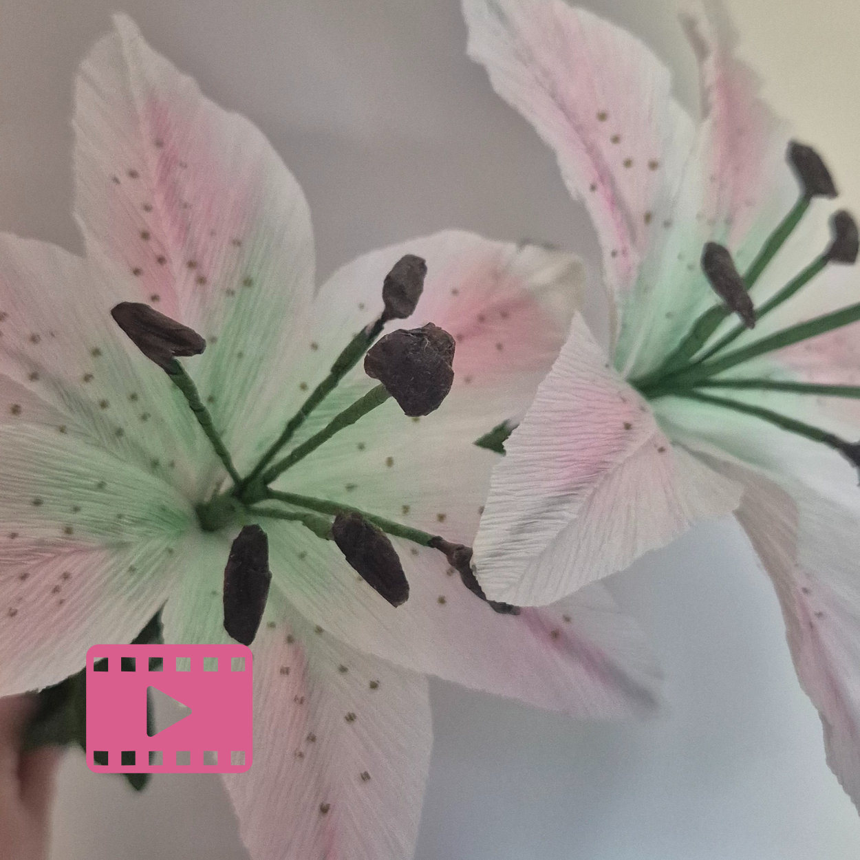 Krepp-paberist Liilia videokursus – loo oma kätega kaunis lill, mis ei närtsi kunagi!