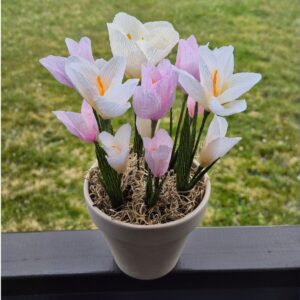 Krepp-paberist krookused lillepotis loomekomplekt