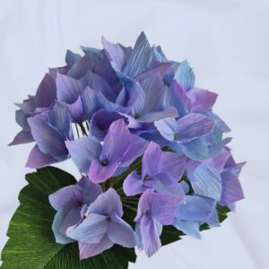 Krepp-paberist hortensia